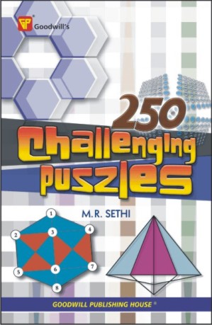 250 Challenging Puzzles